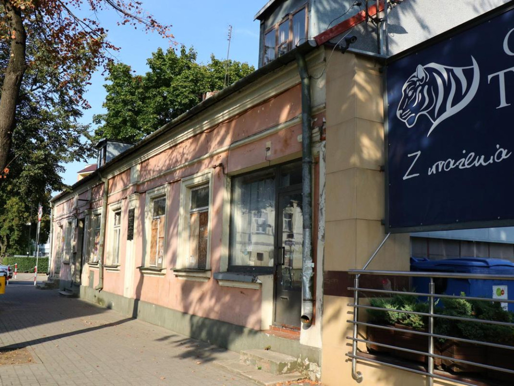 Kim są patroni płockich ulic? Ludwik Krzywicki - profesor od ludzkiego szczęścia
