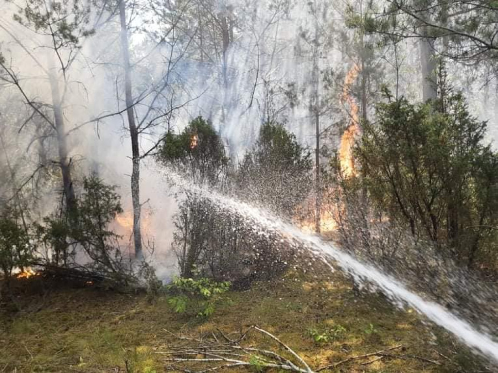 Płoną lasy. W powiecie płockim pożar gasiło 7 straży pożarnych [ZDJĘCIA]