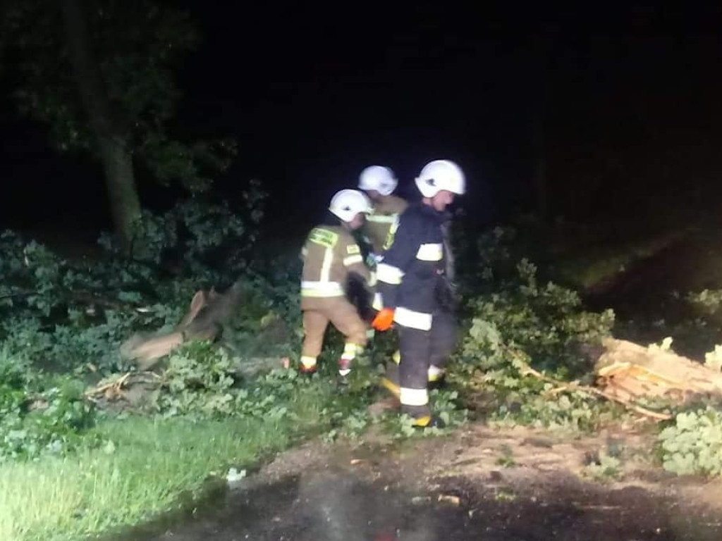 Bodzanów: Wichura niszczyła domy, budynki gospodarcze oraz uprawy [ZDJĘCIA]