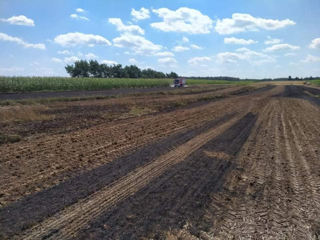 Płoną pola i zboża w powiecie płockim [ZDJĘCIA]