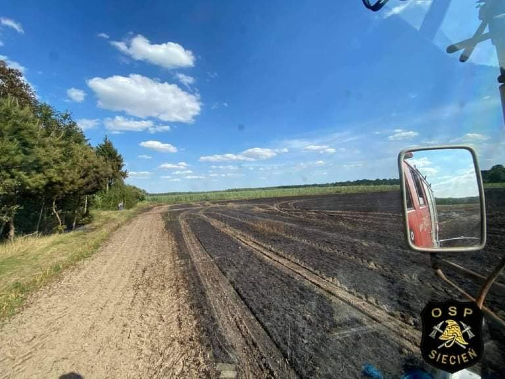 Płoną pola i zboża w powiecie płockim [ZDJĘCIA]