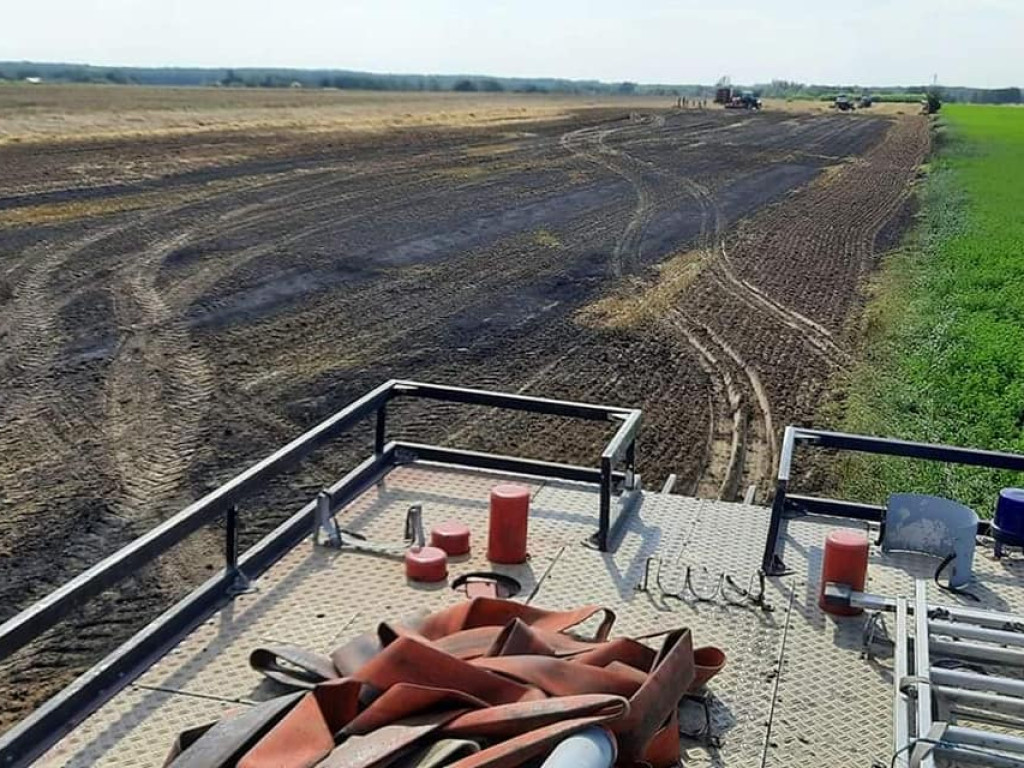 Płoną pola i zboża w powiecie płockim [ZDJĘCIA]