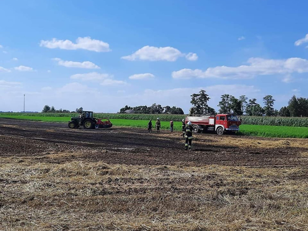 Płoną pola i zboża w powiecie płockim [ZDJĘCIA]