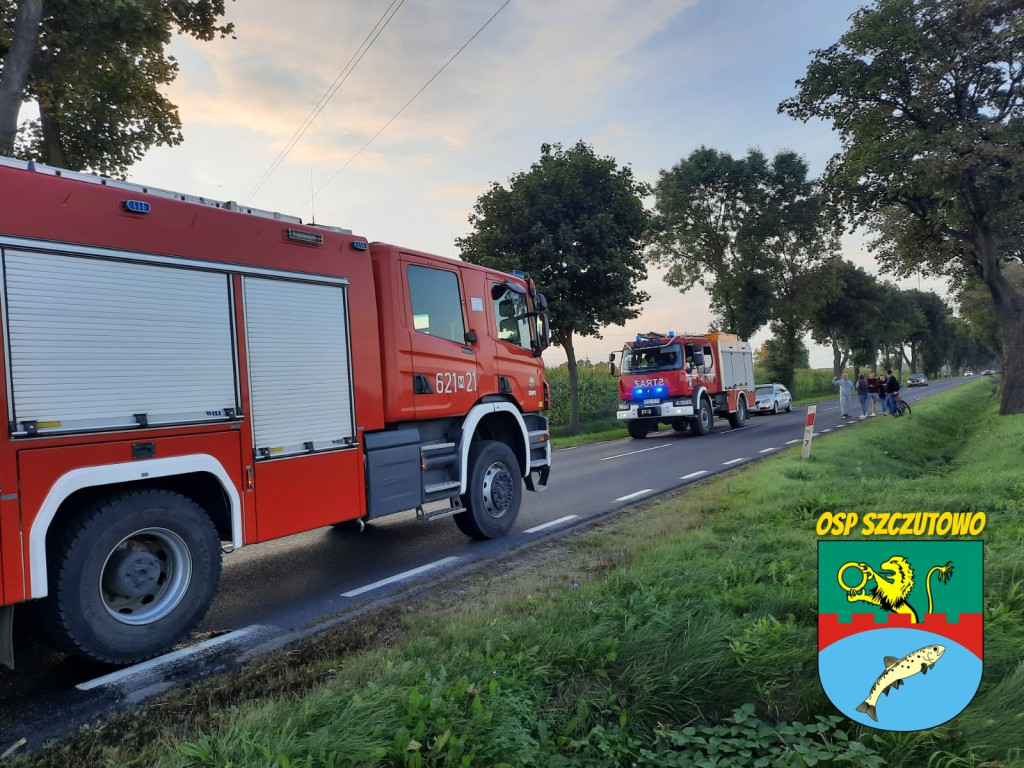 Czołowe zderzenie. Rannych pięć osób! [ZDJĘCIA]