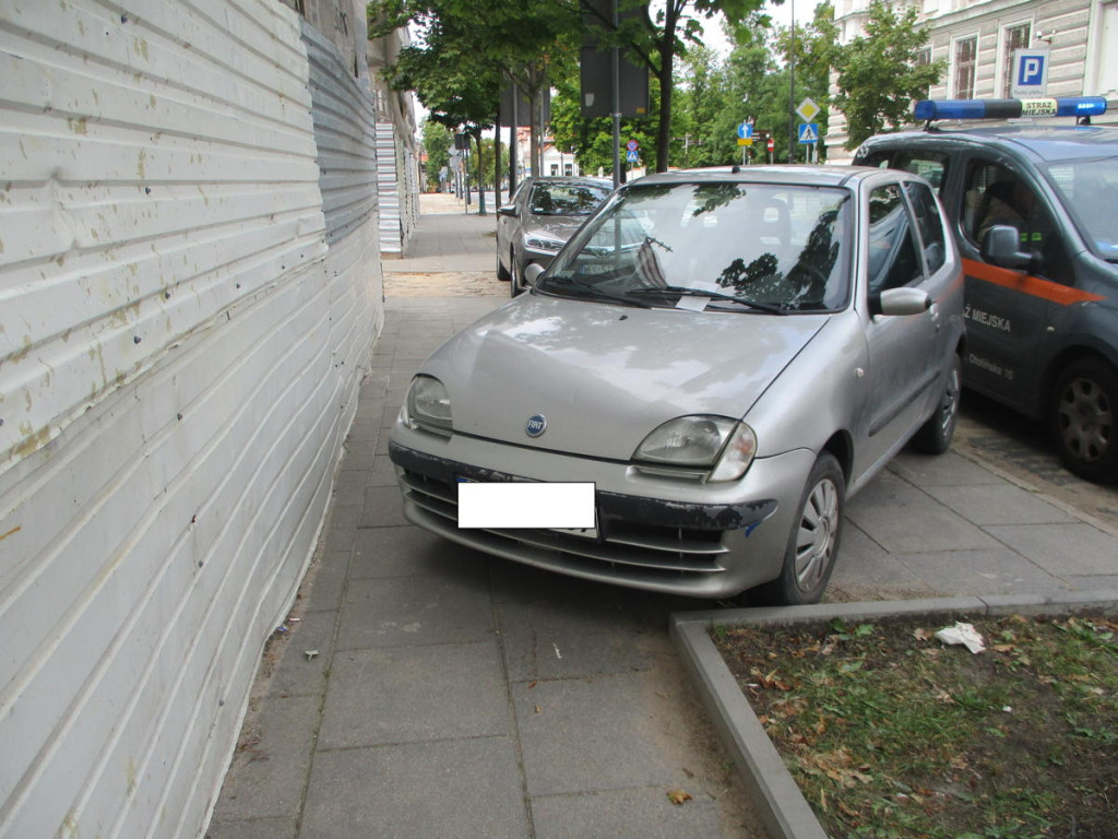 Strażnicy miejscy na tropie 