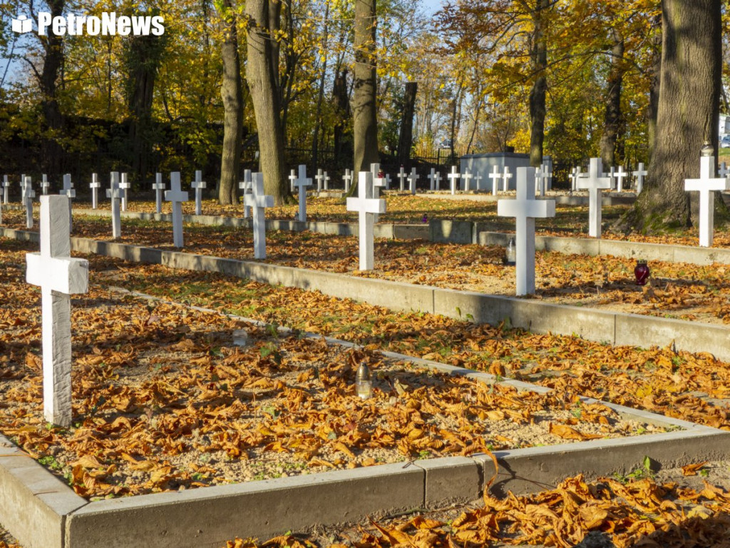 Płocczanie na cmentarzach. Trwała kwesta, a cmentarne alejki ożyły [ZDJĘCIA]