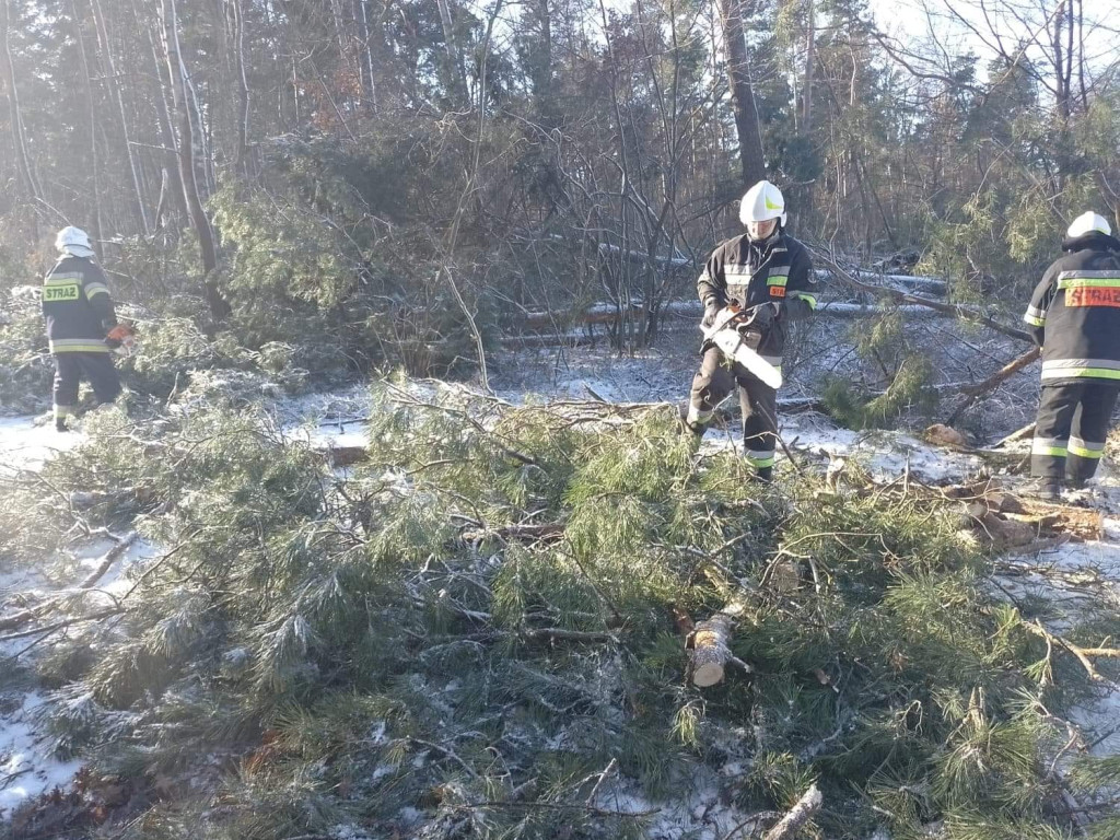 Po burzy śnieżnej: zerwany namiot do testowania COVID-19, połamane drzewa, zerwane dachy... [ZDJĘCIA]