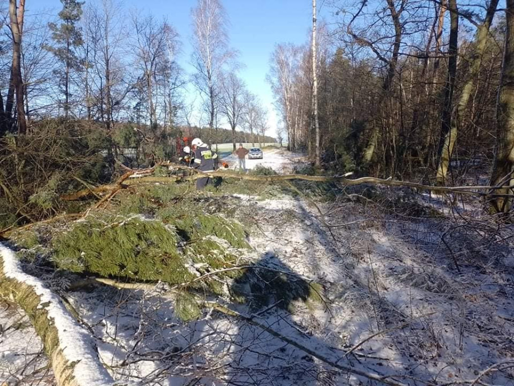Po burzy śnieżnej: zerwany namiot do testowania COVID-19, połamane drzewa, zerwane dachy... [ZDJĘCIA]