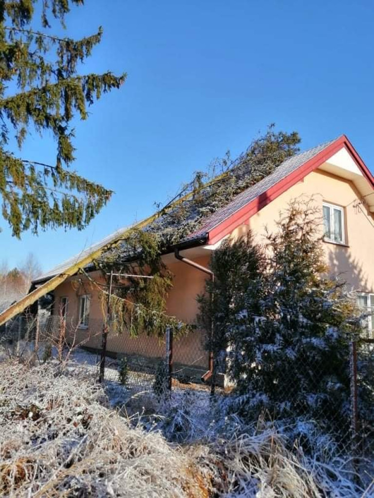 Po burzy śnieżnej: zerwany namiot do testowania COVID-19, połamane drzewa, zerwane dachy... [ZDJĘCIA]