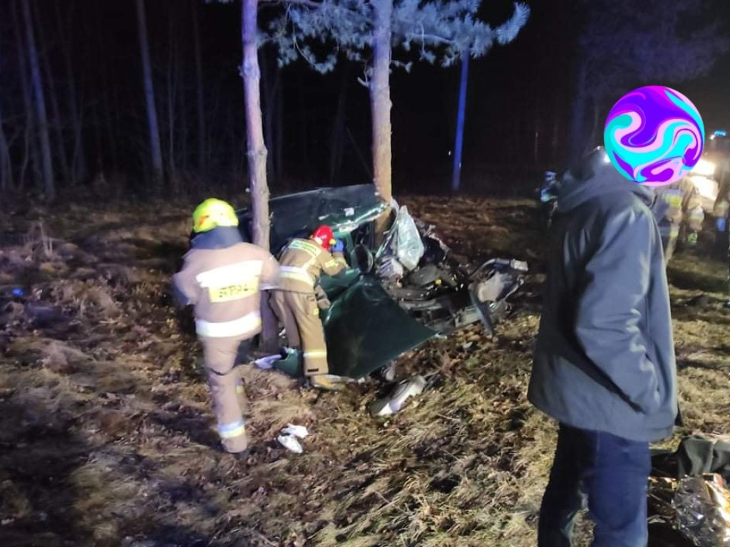 Samochód owinął się wokół drzewa. Kierowca wypadł z auta [ZDJĘCIA]