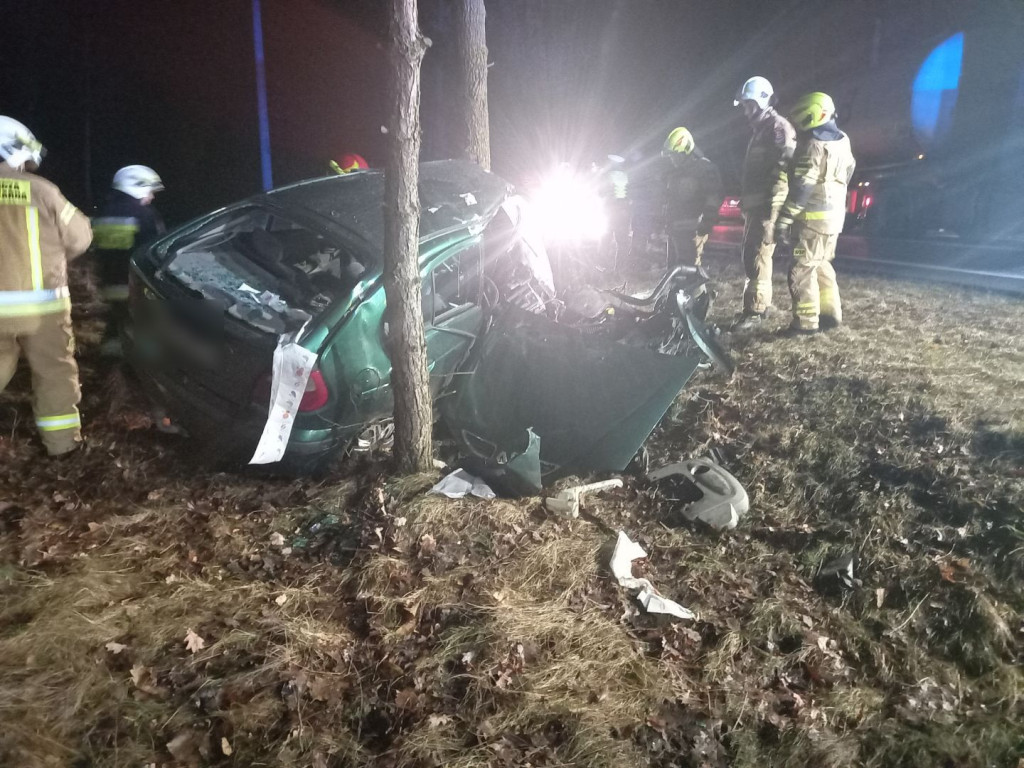 Samochód owinął się wokół drzewa. Kierowca wypadł z auta [ZDJĘCIA]