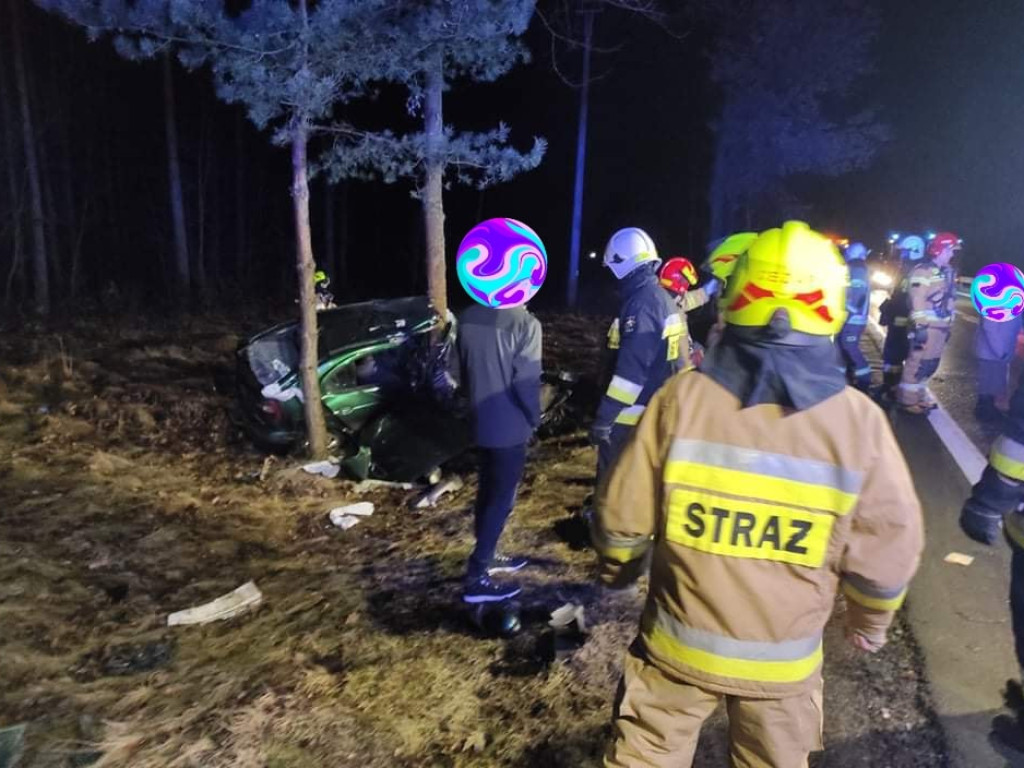 Samochód owinął się wokół drzewa. Kierowca wypadł z auta [ZDJĘCIA]