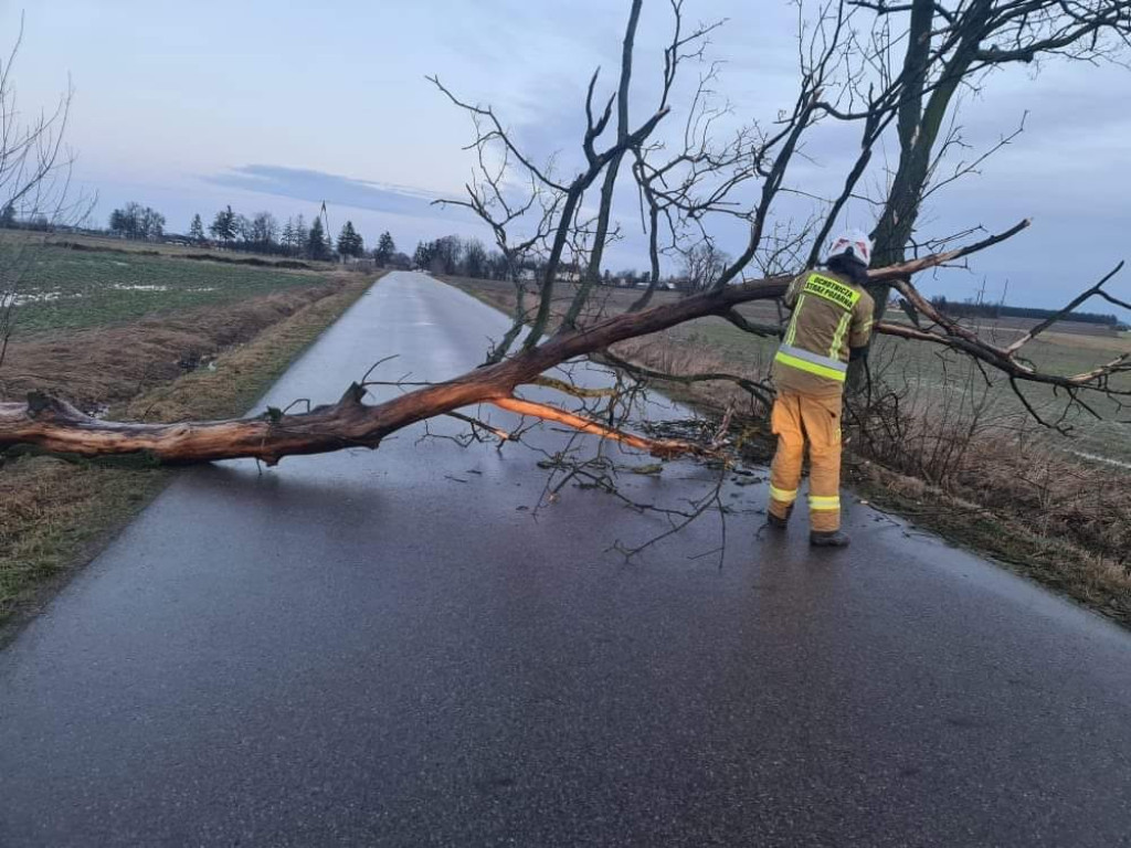 Wichura nad regionem płockim. Powalone drzewa, brak prądu, zerwane dachy [ZDJĘCIA]