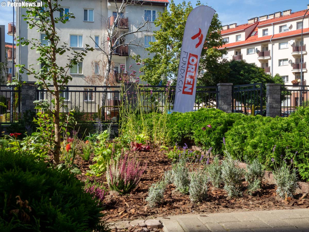 Wolontariusze zazielenili teren szkoły, pomagali w stołówce dla ubogich i w schronisku dla zwierząt [ZDJĘCIA]