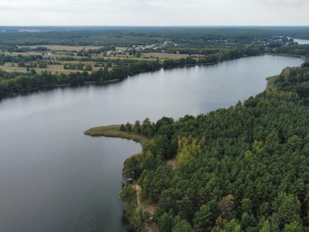 Wędkarskie sprzątanie świata z młodymi płocczanami [ZDJĘCIA]