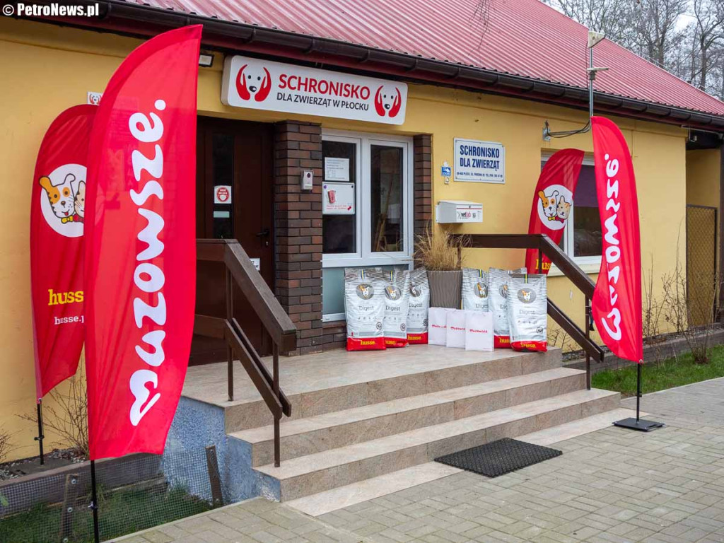 Schroniska dla zwierząt otrzymają pomoc. Płock zapowiedział złożenie wniosku [ZDJĘCIA]