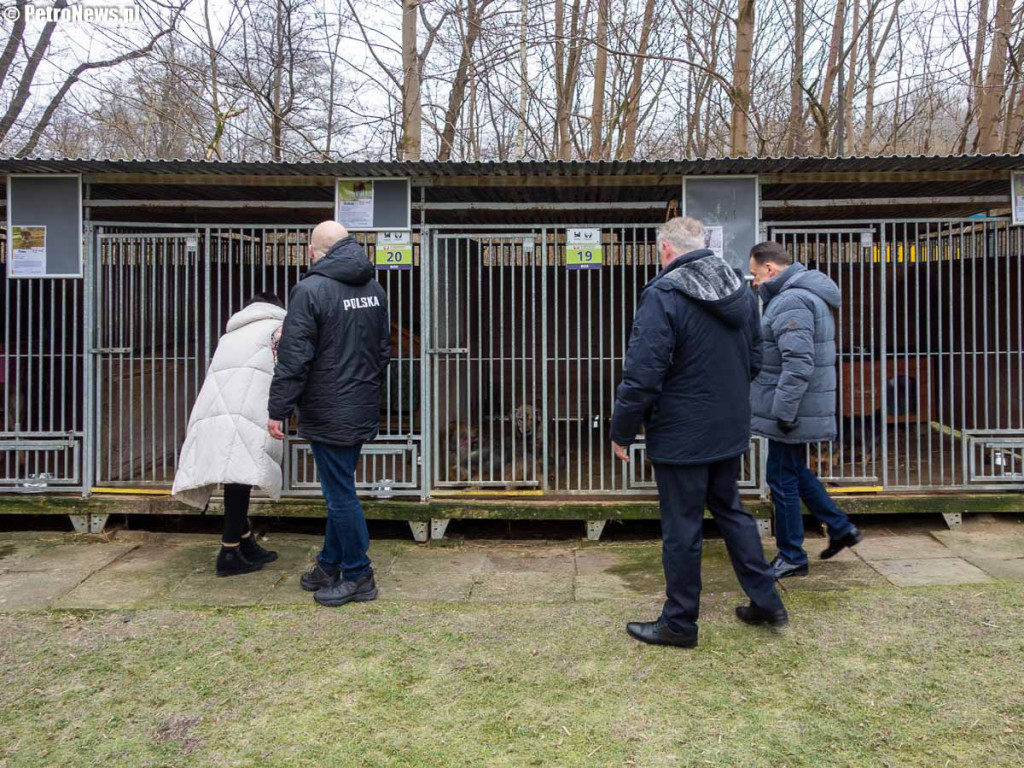 Schroniska dla zwierząt otrzymają pomoc. Płock zapowiedział złożenie wniosku [ZDJĘCIA]