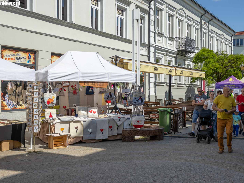 Jarmark Tumski rozruszał płocką starówkę [ZDJĘCIA]