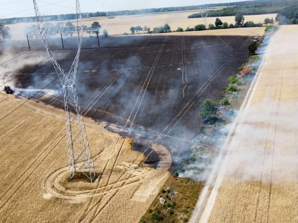 Spłonęły hektary zboża. W akcji 16 zastępów straży pożarnej [FILM, ZDJĘCIA]