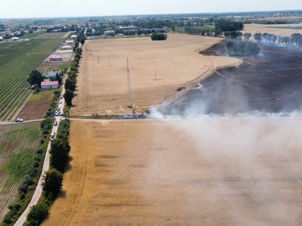 Spłonęły hektary zboża. W akcji 16 zastępów straży pożarnej [FILM, ZDJĘCIA]