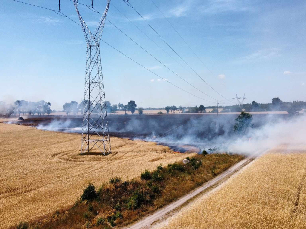 Spłonęły hektary zboża. W akcji 16 zastępów straży pożarnej [FILM, ZDJĘCIA]