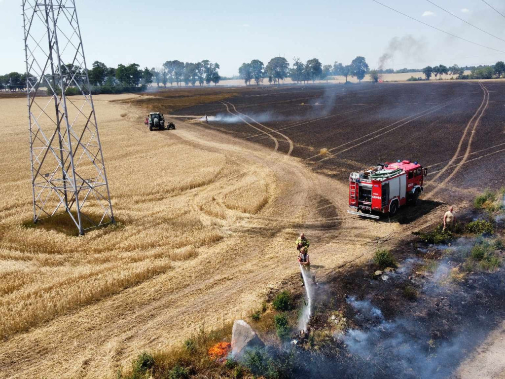 Spłonęły hektary zboża. W akcji 16 zastępów straży pożarnej [FILM, ZDJĘCIA]