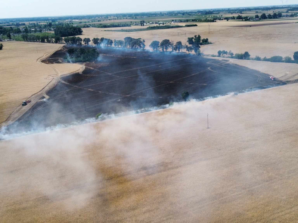 Spłonęły hektary zboża. W akcji 16 zastępów straży pożarnej [FILM, ZDJĘCIA]