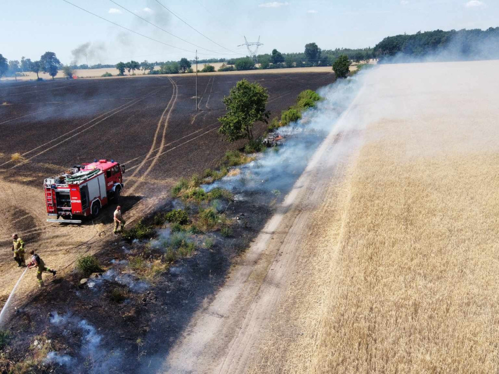 Spłonęły hektary zboża. W akcji 16 zastępów straży pożarnej [FILM, ZDJĘCIA]