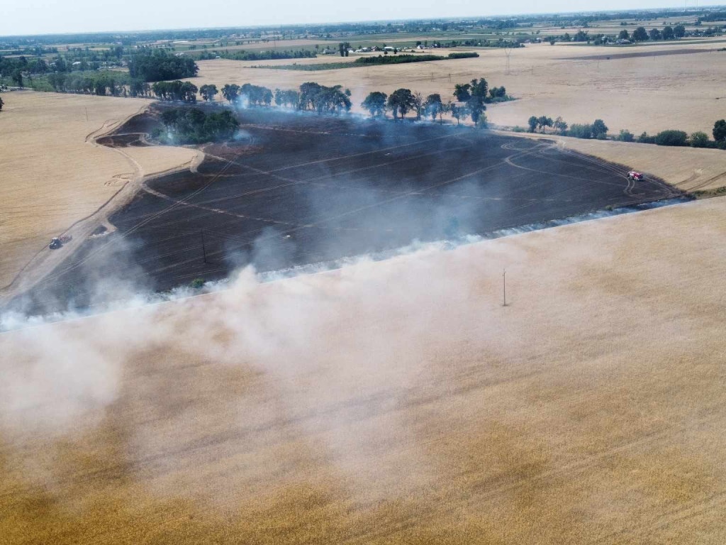 Spłonęły hektary zboża. W akcji 16 zastępów straży pożarnej [FILM, ZDJĘCIA]
