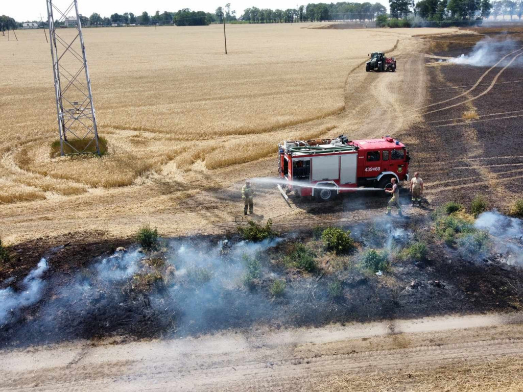 Spłonęły hektary zboża. W akcji 16 zastępów straży pożarnej [FILM, ZDJĘCIA]