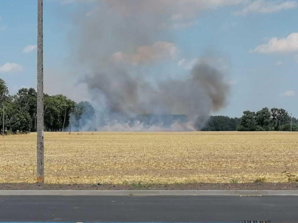 Spłonęły hektary zboża. W akcji 16 zastępów straży pożarnej [FILM, ZDJĘCIA]