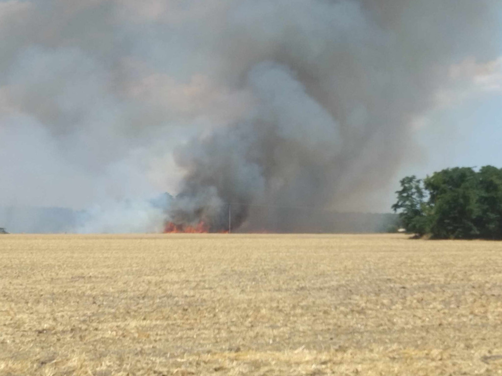 Spłonęły hektary zboża. W akcji 16 zastępów straży pożarnej [FILM, ZDJĘCIA]