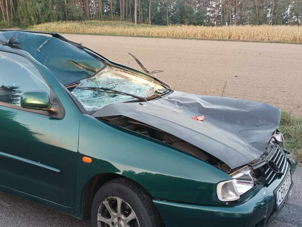 Poranne zderzenie auta z łosiem [ZDJĘCIA]