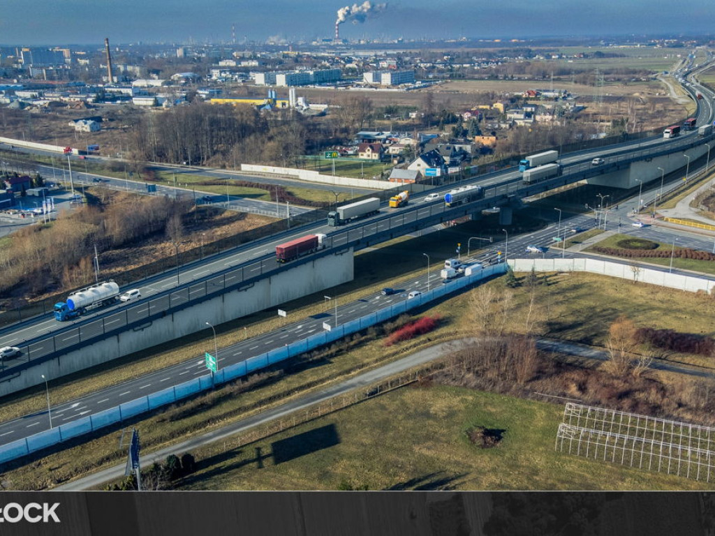 Dopiero posadzone drzewa będą wycięte?