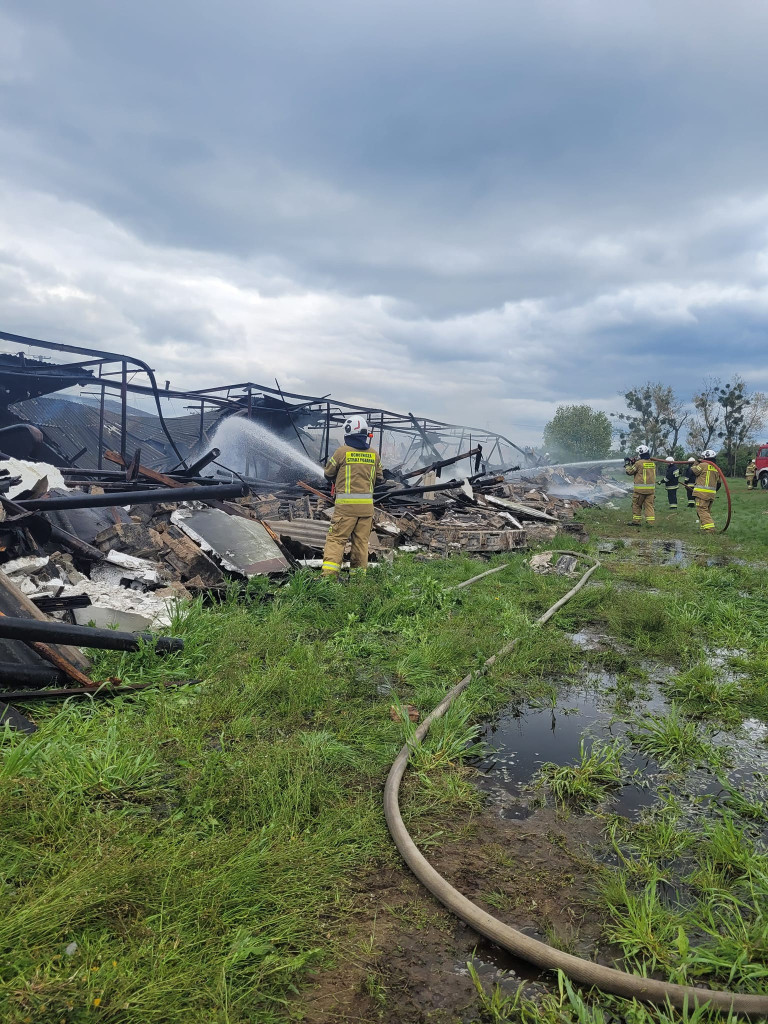 Potężny pożar kurników. W akcji ponad 120 strażaków [ZDJĘCIA]