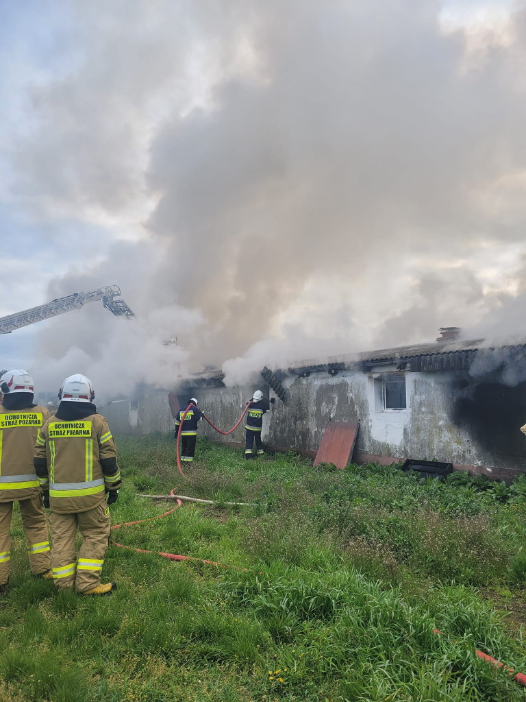 Potężny pożar kurników. W akcji ponad 120 strażaków [ZDJĘCIA]