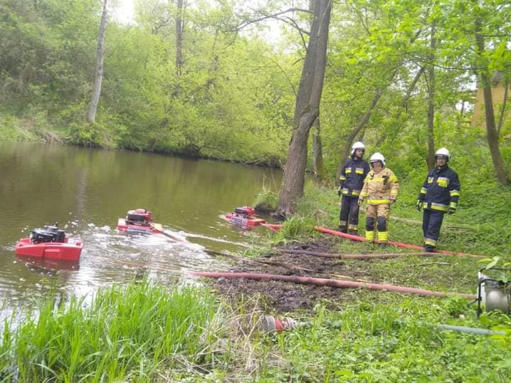 Potężny pożar kurników. W akcji ponad 120 strażaków [ZDJĘCIA]