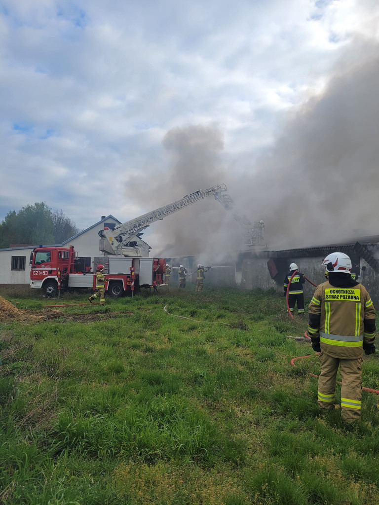 Potężny pożar kurników. W akcji ponad 120 strażaków [ZDJĘCIA]