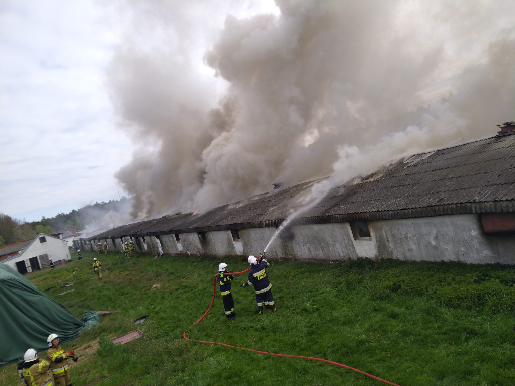 Potężny pożar kurników. W akcji ponad 120 strażaków [ZDJĘCIA]