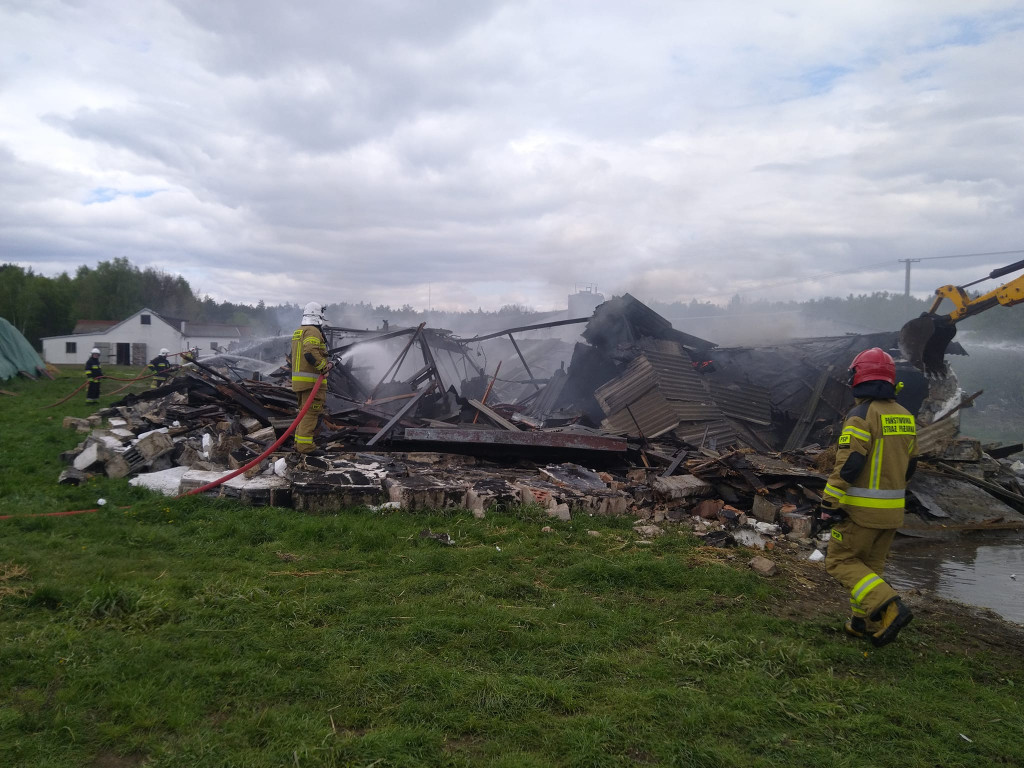 Potężny pożar kurników. W akcji ponad 120 strażaków [ZDJĘCIA]