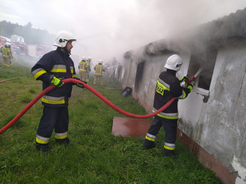 Potężny pożar kurników. W akcji ponad 120 strażaków [ZDJĘCIA]