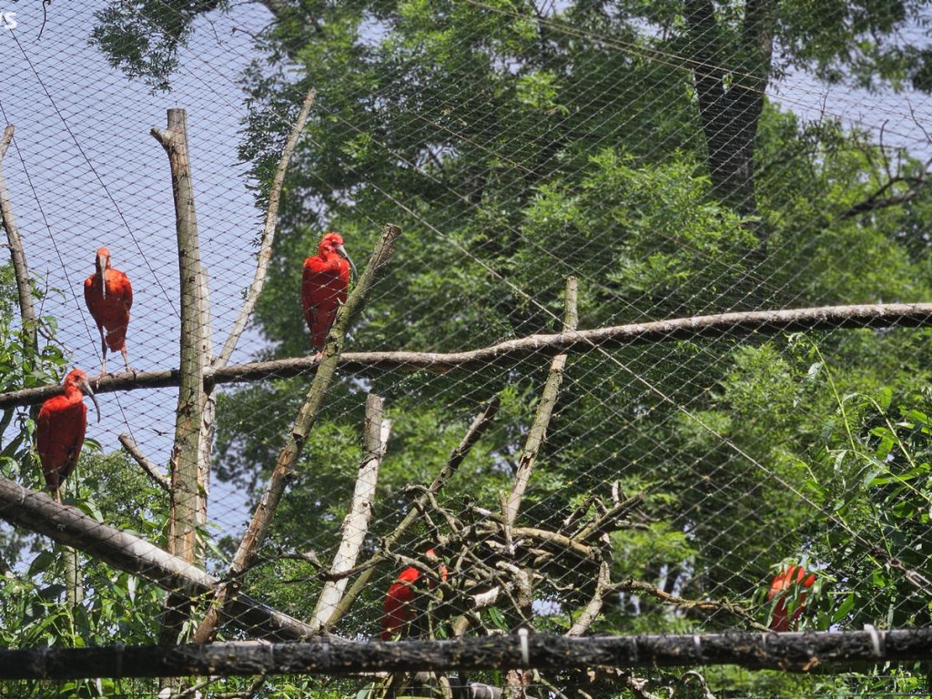 Niedzielny spacer po płockim zoo [ZDJĘCIA]