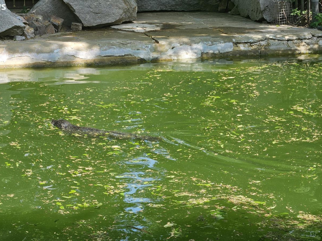 Niedzielny spacer po płockim zoo [ZDJĘCIA]