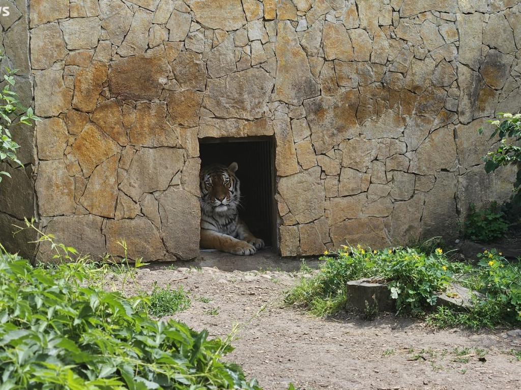 Niedzielny spacer po płockim zoo [ZDJĘCIA]