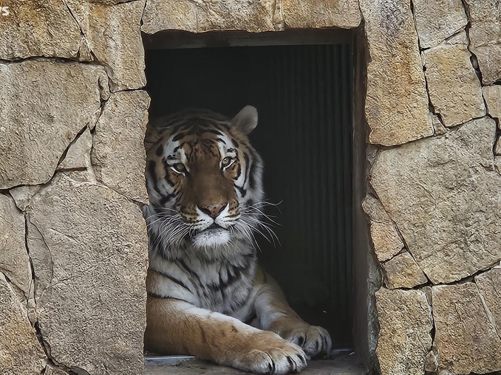 Niedzielny spacer po płockim zoo [ZDJĘCIA]
