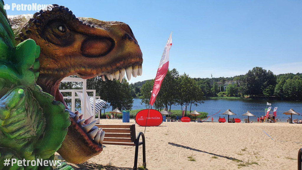 Plaża Patelnia w Grabinie