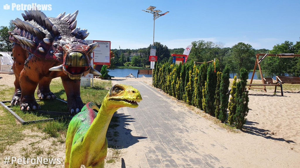Plaża Patelnia w Grabinie