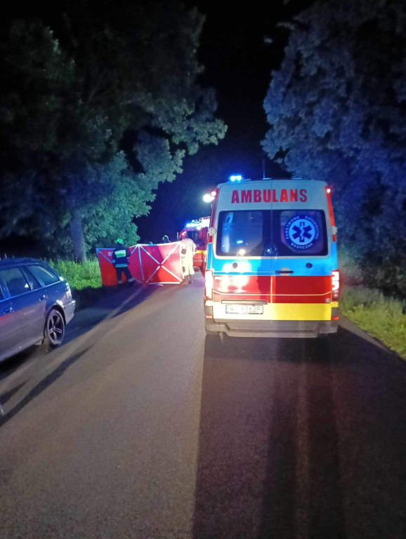 Śmiertelny wypadek w powiecie płockim