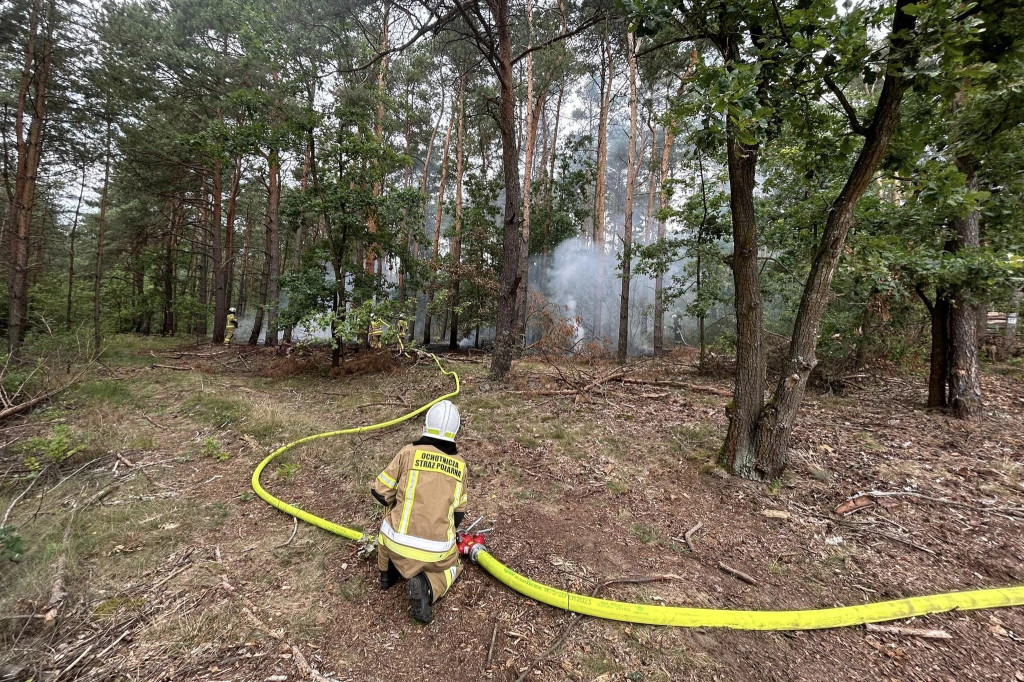 Płoną lasy wokół Płocka. Leśnicy apelują