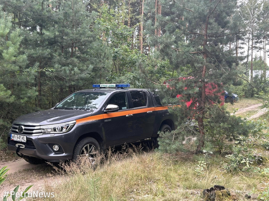 Płoną lasy wokół Płocka. Leśnicy apelują